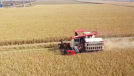 腾博会官网 - 诚信为本,专业服务!