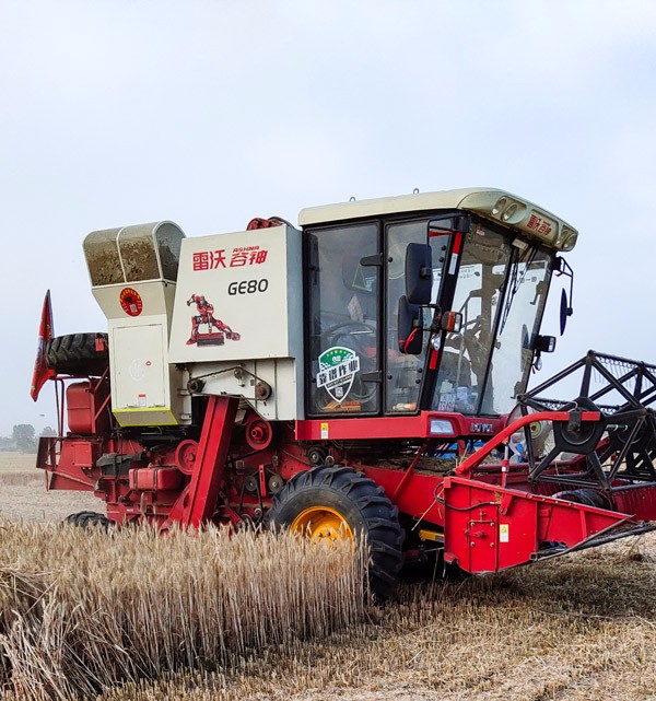 13716d965eda4a87aaf00dbfefd553e3