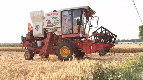 腾博会官网 - 诚信为本,专业服务!