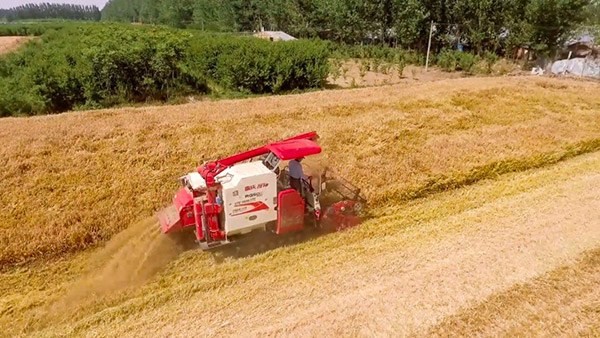 腾博会官网 - 诚信为本,专业服务!