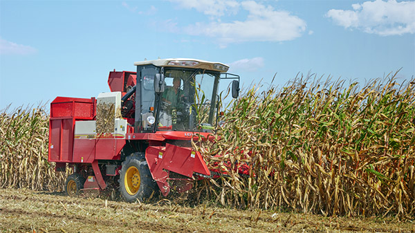 腾博会官网 - 诚信为本,专业服务!