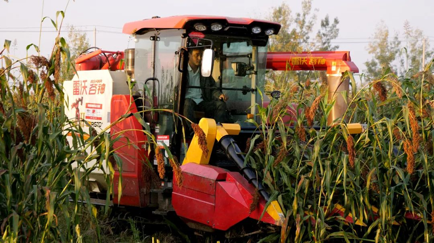 腾博会官网 - 诚信为本,专业服务!