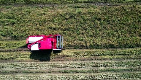 腾博会官网 - 诚信为本,专业服务!