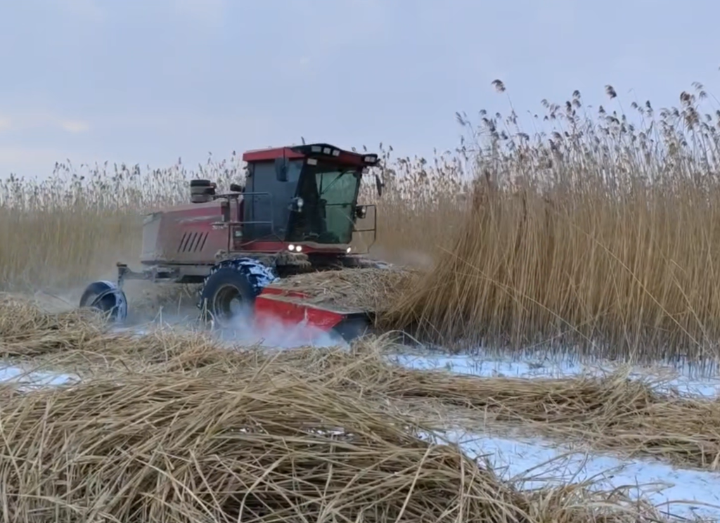 腾博会官网 - 诚信为本,专业服务!