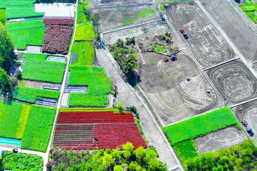 2679d990ea114e908ea358692d20240d