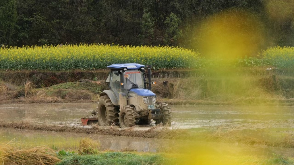 腾博会官网 - 诚信为本,专业服务!